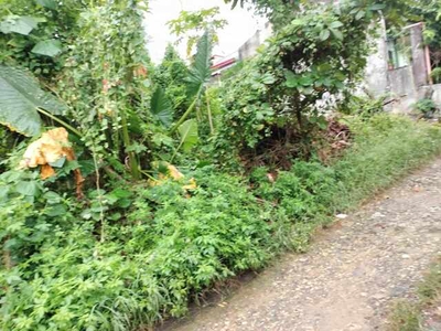 Lot For Sale In Pagsabungan, Mandaue