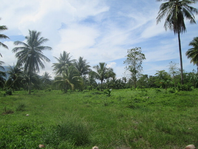 Lot For Sale In Saraza, Brooke's Point