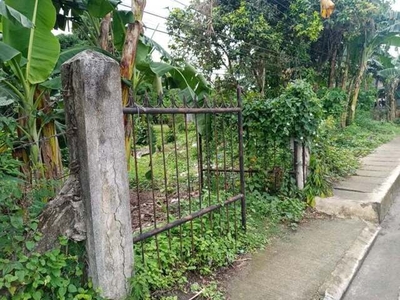Lot For Sale In To-ong Pardo, Cebu