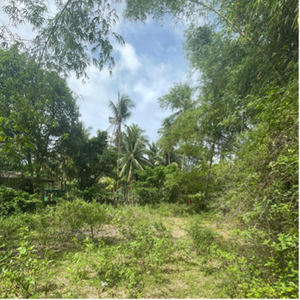 Lot For Sale In Tugawe, Dauin