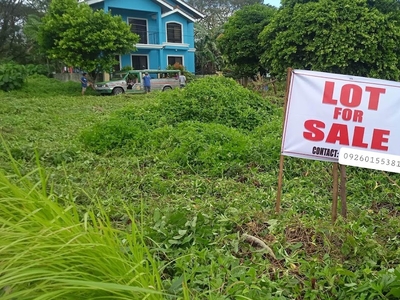 RUSH SALE! Corner Lot for Sale in Camella Savannah Iloilo