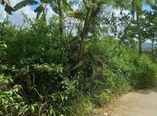 Lot For Sale In Lamanan, Davao
