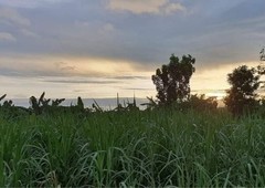 FOR SALE: 2.8 hectare Farm Lot located in Calauan, Laguna