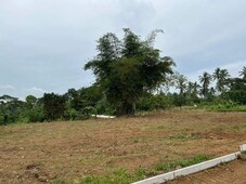 300 sqm farm lot with new tiny farm house for sale at Magallanes Natures Farm in Magallanes Cavite near Tagaytay