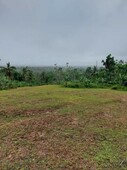 A 60k sqm land for agri tourism/farming is for sale