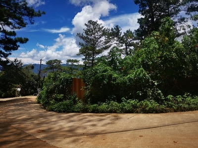 Lot For Sale In Pucsusan, Baguio