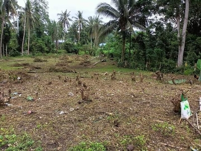 Lot For Sale In San Vicente, Baclayon
