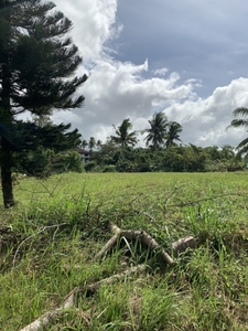 Lot For Sale In Sulpoc, Tanauan