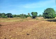 Land for Sale in Alaminos, Pangasinan