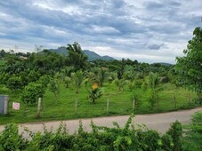 Tuy, Batangas Lot for sale