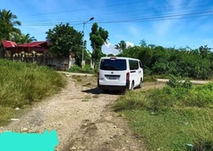 Residential Lot for sale in Danao