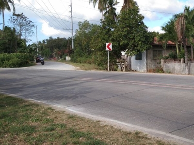 1,000 sq.m. Residential Lot For Sale in Libaong, Panglao, Bohol