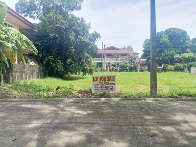 300 sqm Lot in Town and Country, Talisay