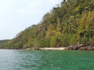 4.6 Hectares Beachfront & Overlooking Lot in Gamao, Tingloy, Batangas