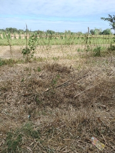 Agricultural lot for sale 10,000sqm