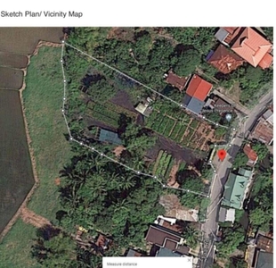33 hectares Agricultural lot for Sale in Roxas Palawan