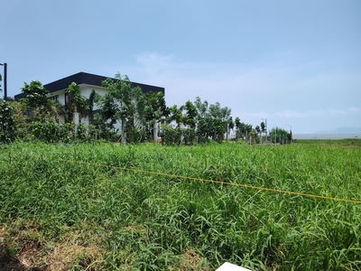 For sale Agri Land in Pililla Rizal beside Resort, between Highway & Laguna Lake