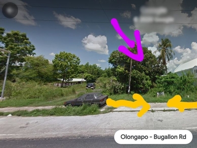 For Sale Commercial Lot Along The Highway in Alaminos, Pangasinan