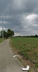For Sale Investment Lot located at Brgy. Kaingin, San Pascual, Batangas