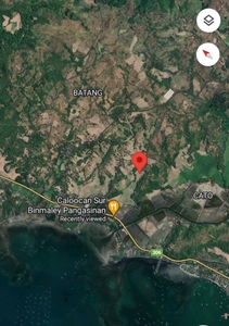 Rush! 2 Hectares Land For Sale in Batang, Infanta, Pangasinan