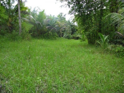 Lot For Sale US$6.00 per sq.m. For Sale Philippines