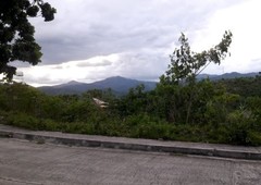 257sqm Lot for Sale with Overlooking Views in Consolacion