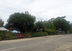 Commercial Lots along the Road of DSV Don Salvador Benedicto