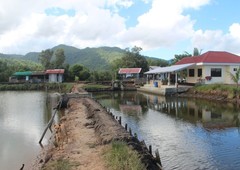 63 hectare fish ponds for sale 63m