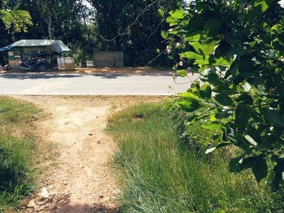 Lot For Sale In Barangay Vi, Coron