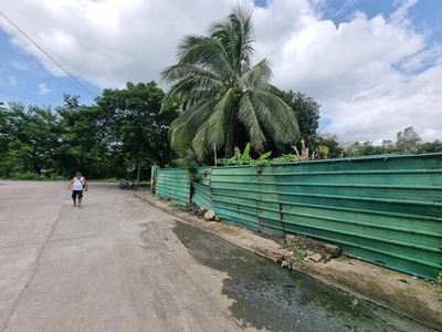 Lot For Sale In Mexico, Pampanga