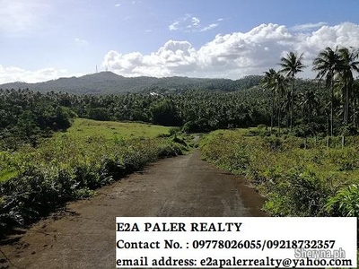 4. 4 Hectares Lot for sale