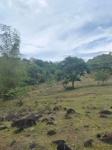 Lot For Sale In Antipolo, Rizal