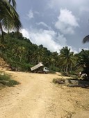 siargao land - 4 hectares for sale