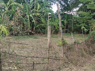 Lot For Sale In Calasiao, Pangasinan