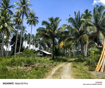 Lot For Sale In Calumpang, Quezon