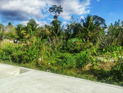 Lot For Sale In Dagatan, Amadeo