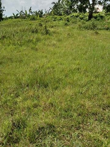 Lot For Sale In Dinahican, Infanta