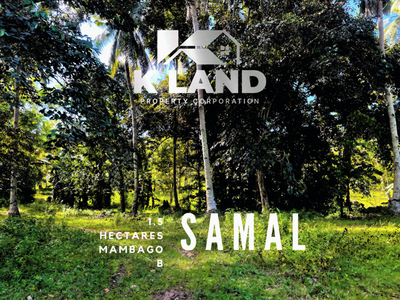 Lot For Sale In Mambago-b, Island Of Garden Samal, Samal