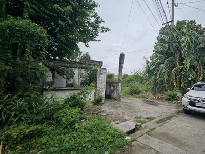 Lot For Sale In Molino Iv, Bacoor