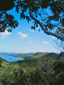 Lot For Sale In New Busuanga, Busuanga