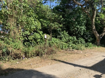 Lot For Sale In Taclobo, Dumaguete