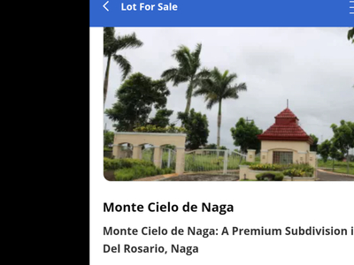 Plot of land Naga city, Camarines Sur For Sale Philippines