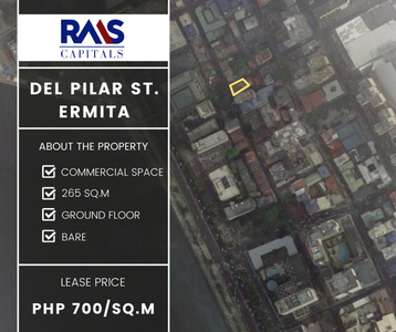 Property For Rent In Manila, Metro Manila