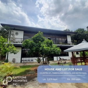 Villa For Sale In San Mateo, Rizal