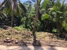 Farm Lot For Sale in Calinan