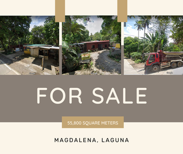 Lot For Sale In Cigaras, Magdalena