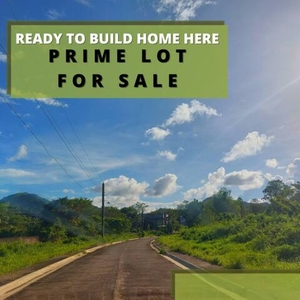 Lot For Sale In Dinginan, Roxas