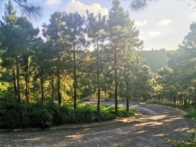 Lot For Sale In Iruhin South, Tagaytay