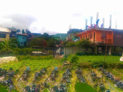Lot For Sale In New Lucban, Baguio