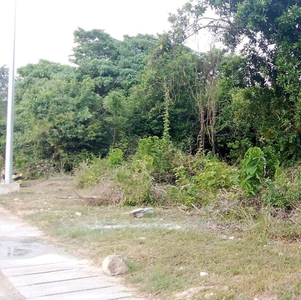 Lot For Sale In Panglao, Bohol